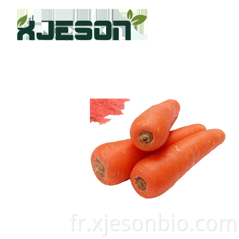 Food Ingredients Dried Carrot Powder